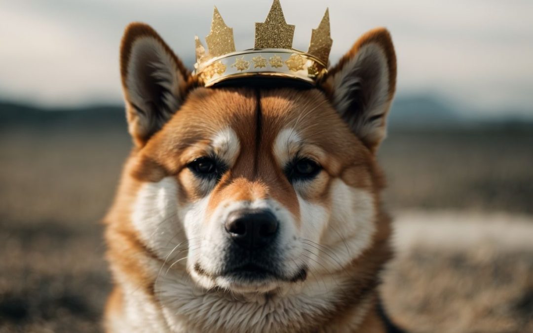 Understanding Shiba Inu Coin: Facts, Analysis, and Potential